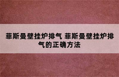 菲斯曼壁挂炉排气 菲斯曼壁挂炉排气的正确方法